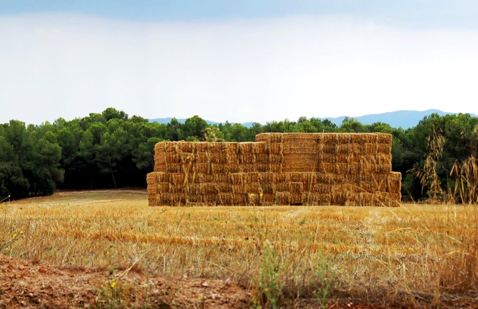 Straw straw bale farm