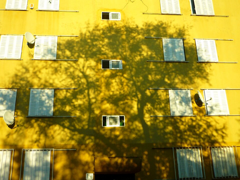 Facade sunset projection
