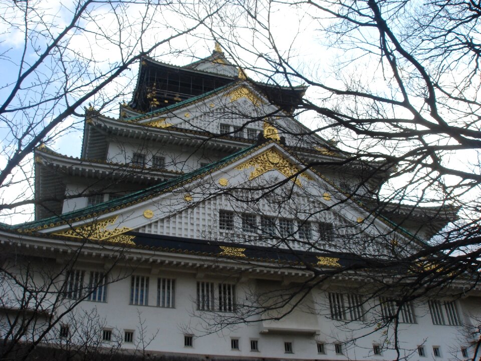 Osaka castle castle wood