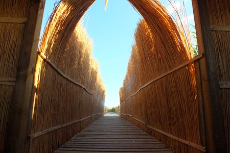 Reed road the gate