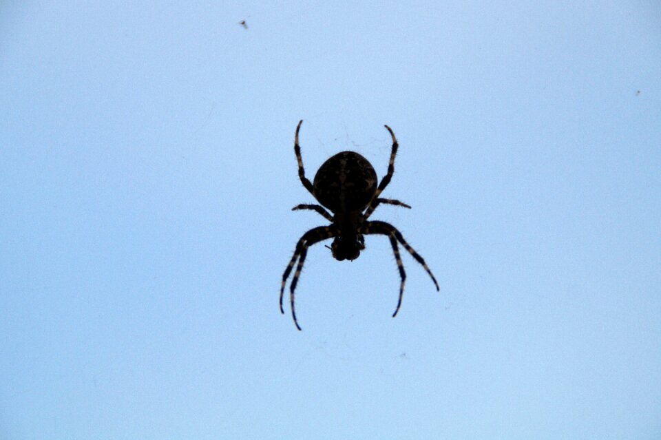 Creepy threatening lurking