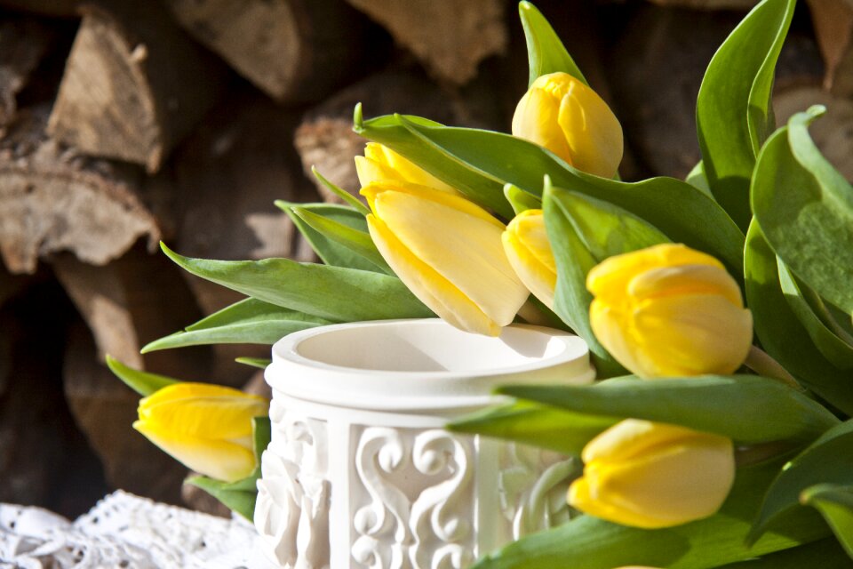 Nature yellow deco