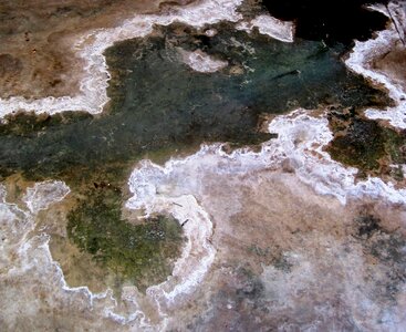 Still pool dried up