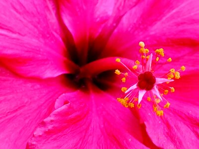 Prado spring colorful