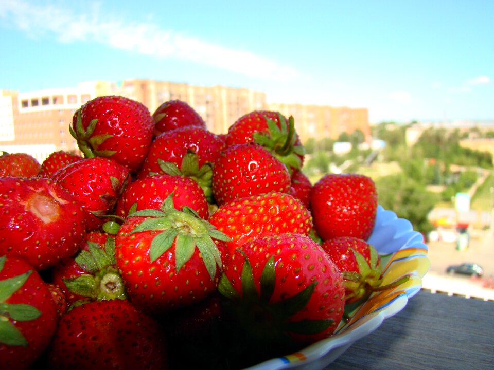 Appetizing tasty loggia
