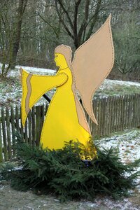 Yellow fir tree winter photo