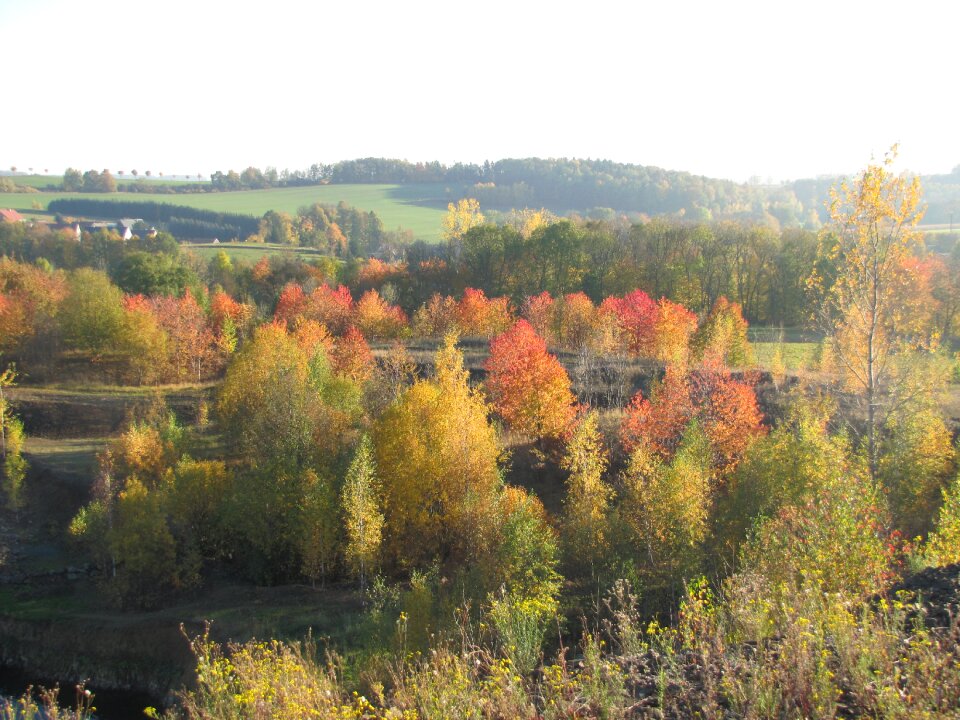 Background colorful october