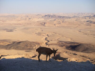 Sand hot mitzpe ramon