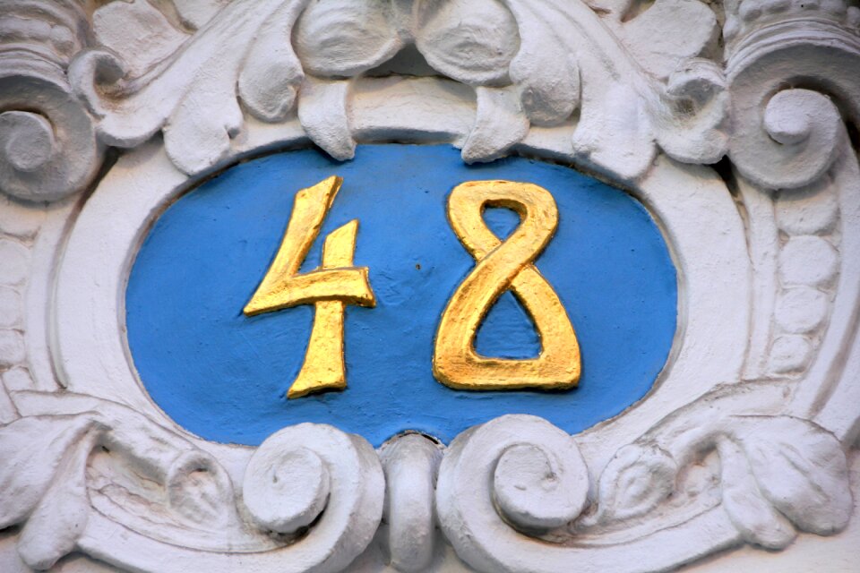 48 forty eight blue gold