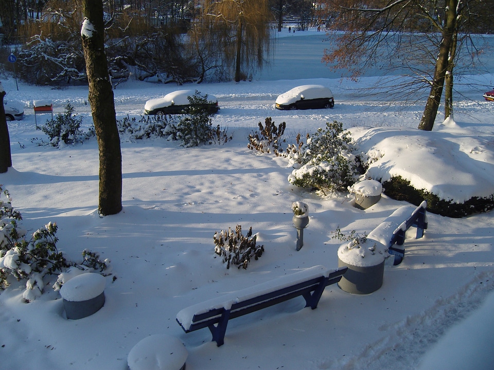 Winter snow snow landscape
