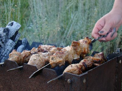 On the nature summer meat