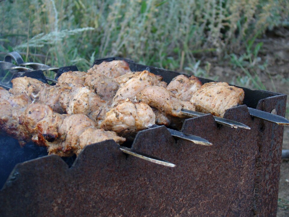 On the nature summer meat