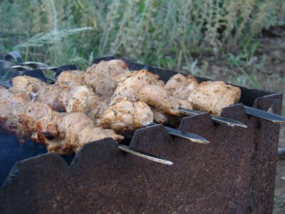On the nature summer meat