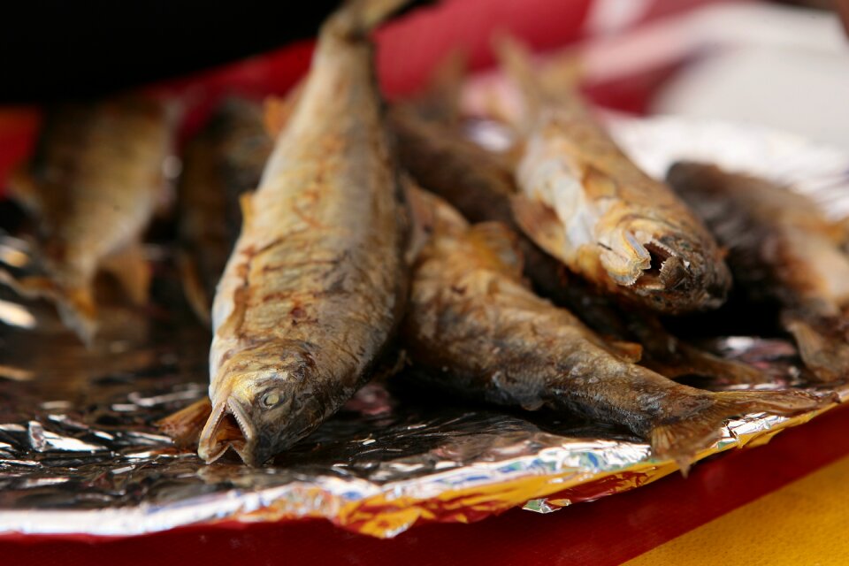 Early fish grilled