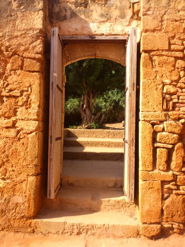Old entry tree behind door