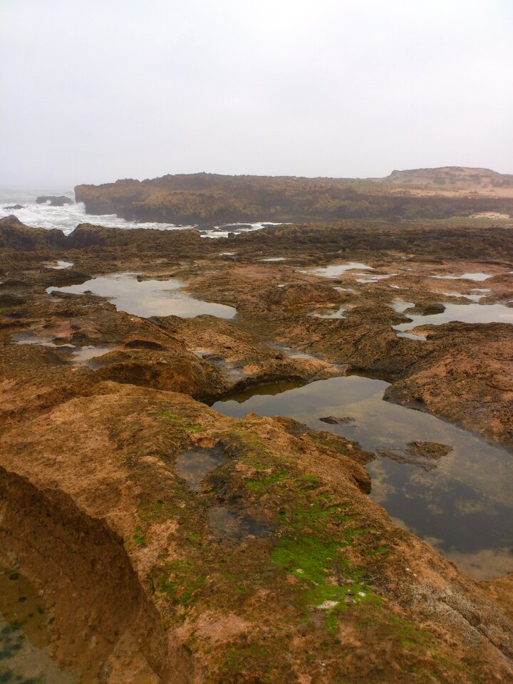 Nature morocco puddle