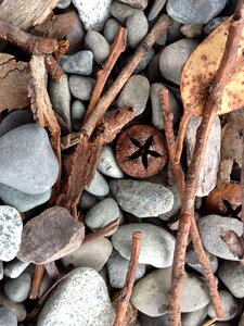 Pebbles wood leaf