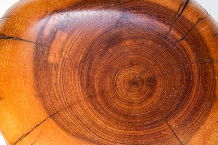 Fund lacquered brown