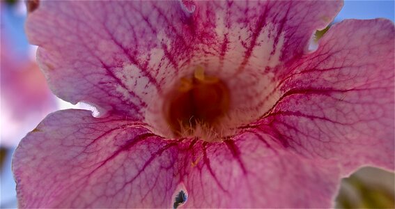 Autumn nature vegetable