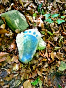 Footsteps reprint traces