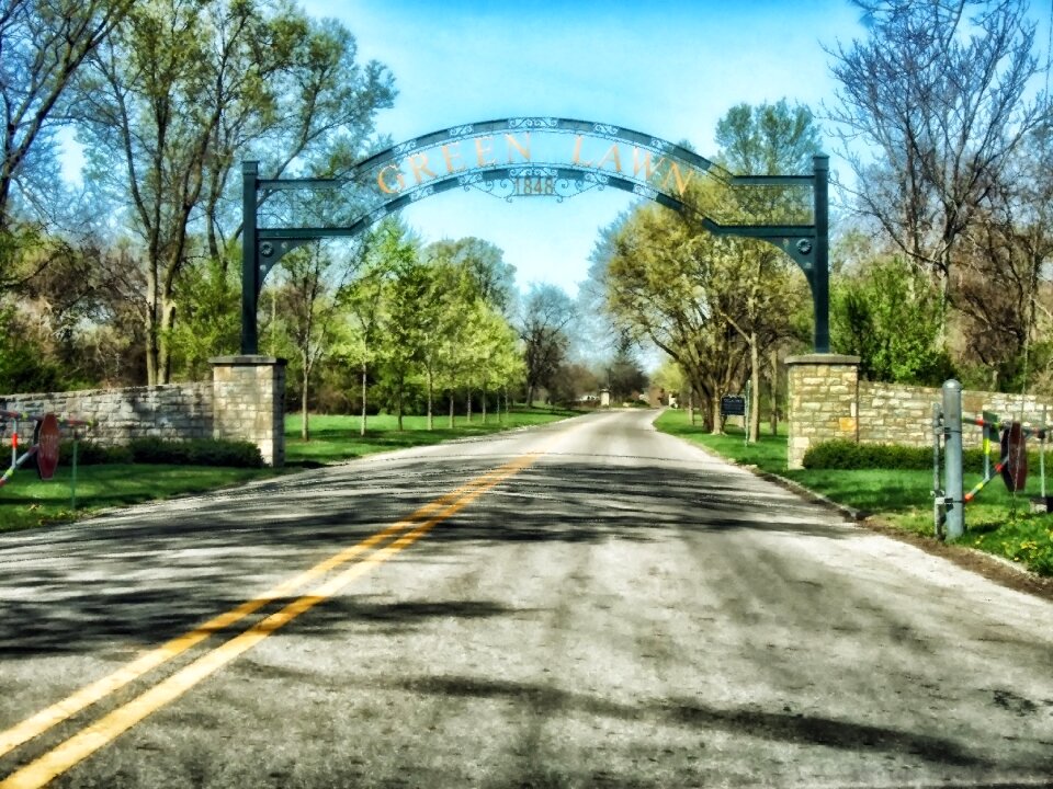 Arch trees columbus