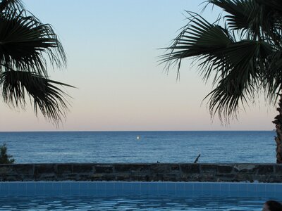 Sea palm trees crete photo