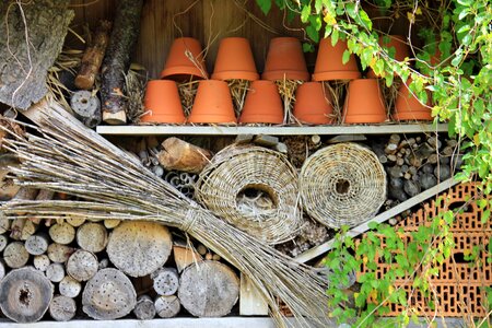 Animals insect hotel photo