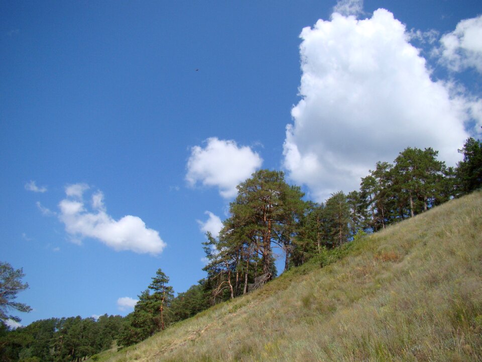 Sky clouds summer