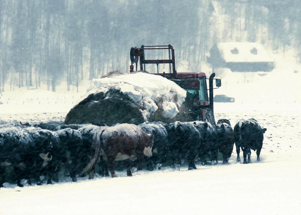 Feed lot farm rural