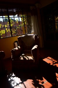 Siesta rest backlight