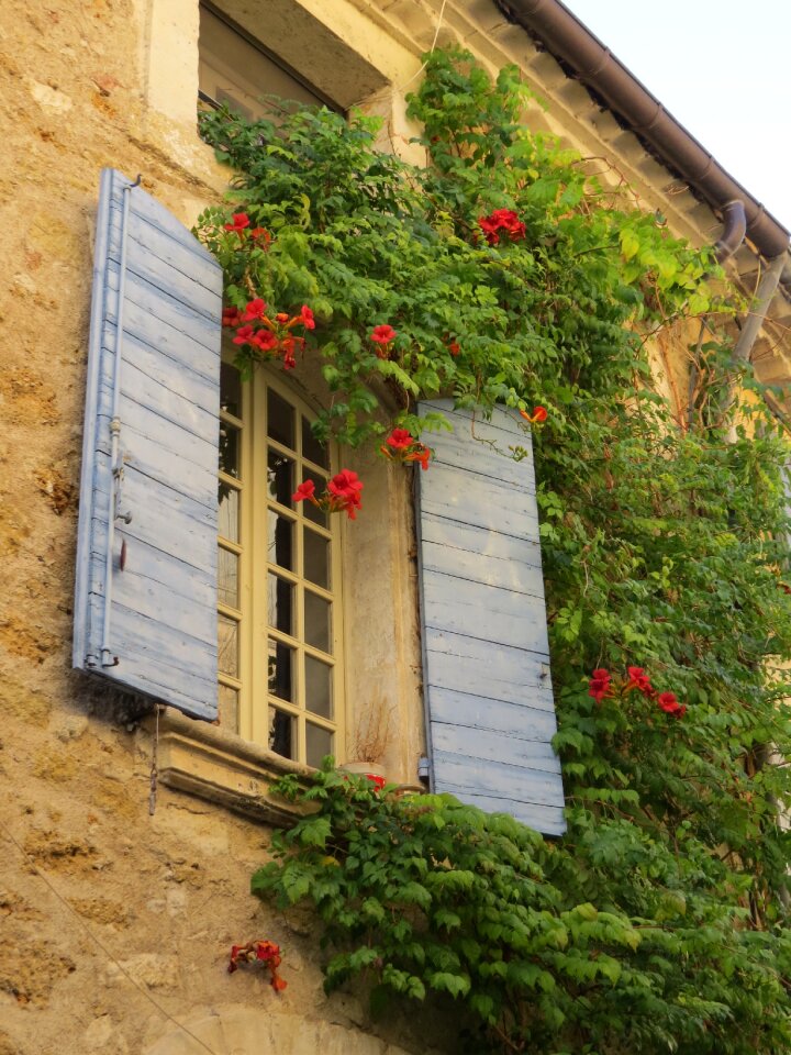 France building flowers