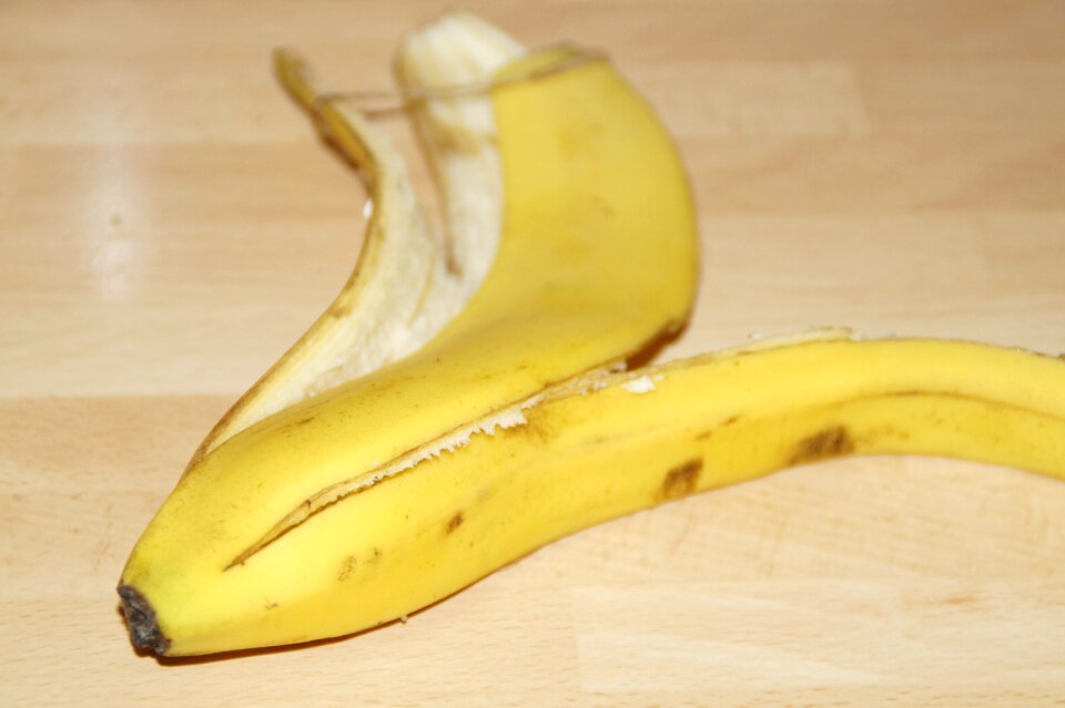 Eaten up rest waste