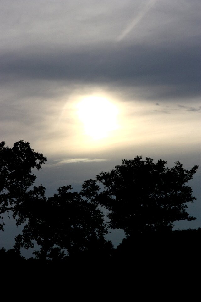 Sunset peaceful landscape
