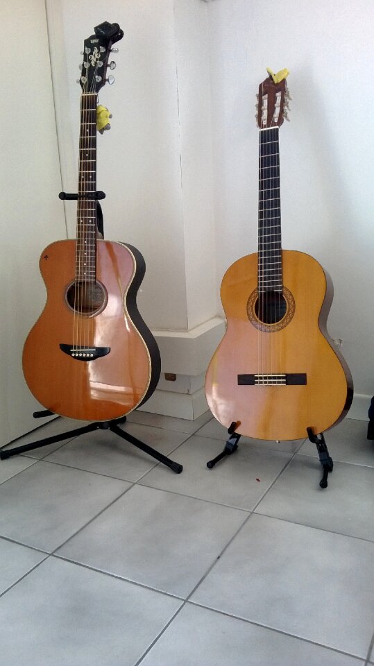 Guitar guitars twins