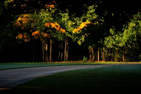 Morning sun dreamy nature