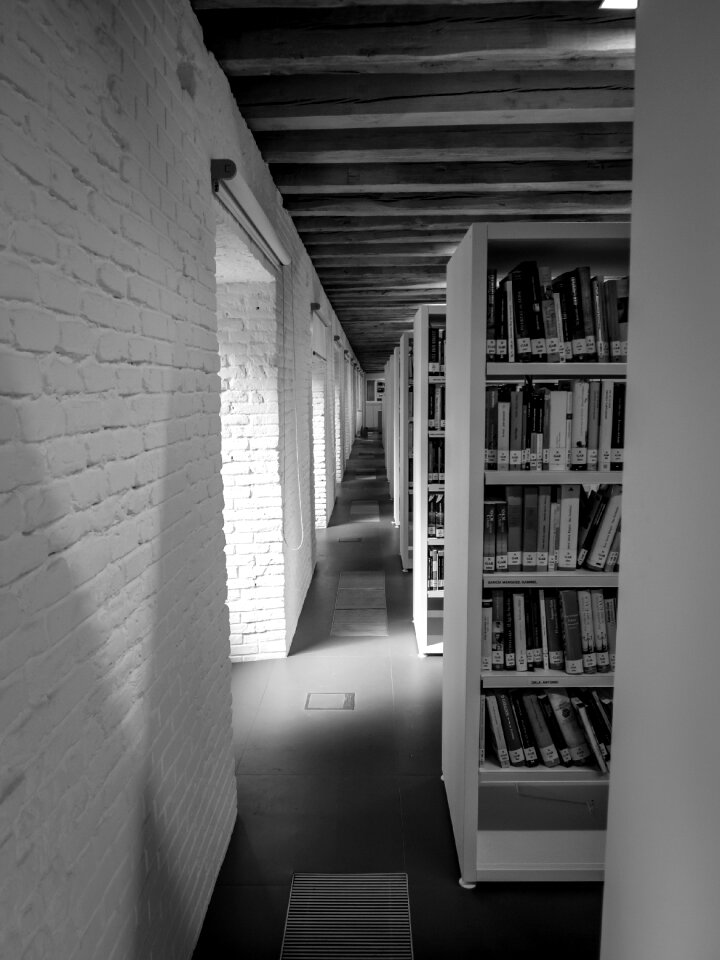 Books shelves light