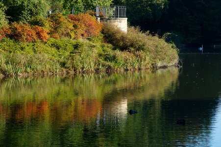Water colorful mood