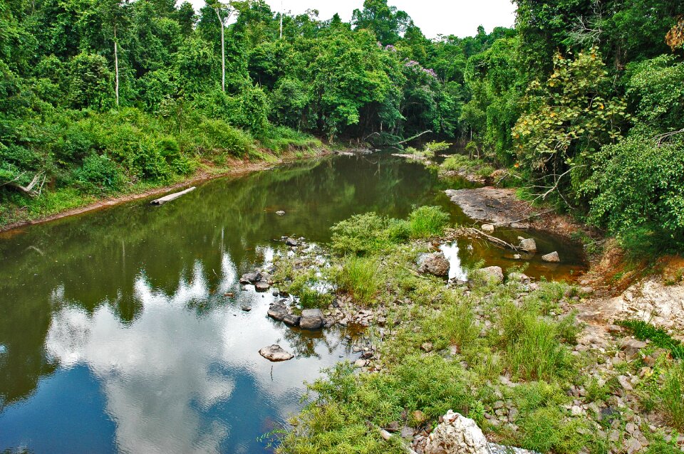 River landscape khao yai thailand