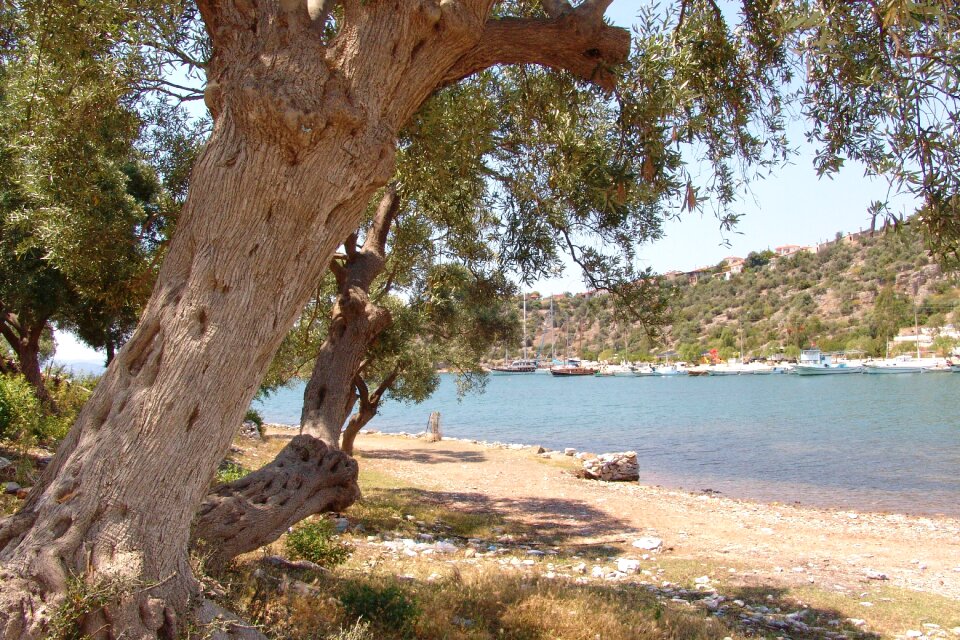 Jasos landscape vacations