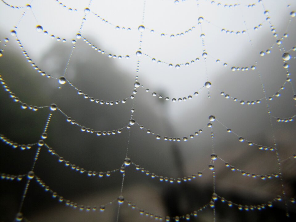 Critter water moisture