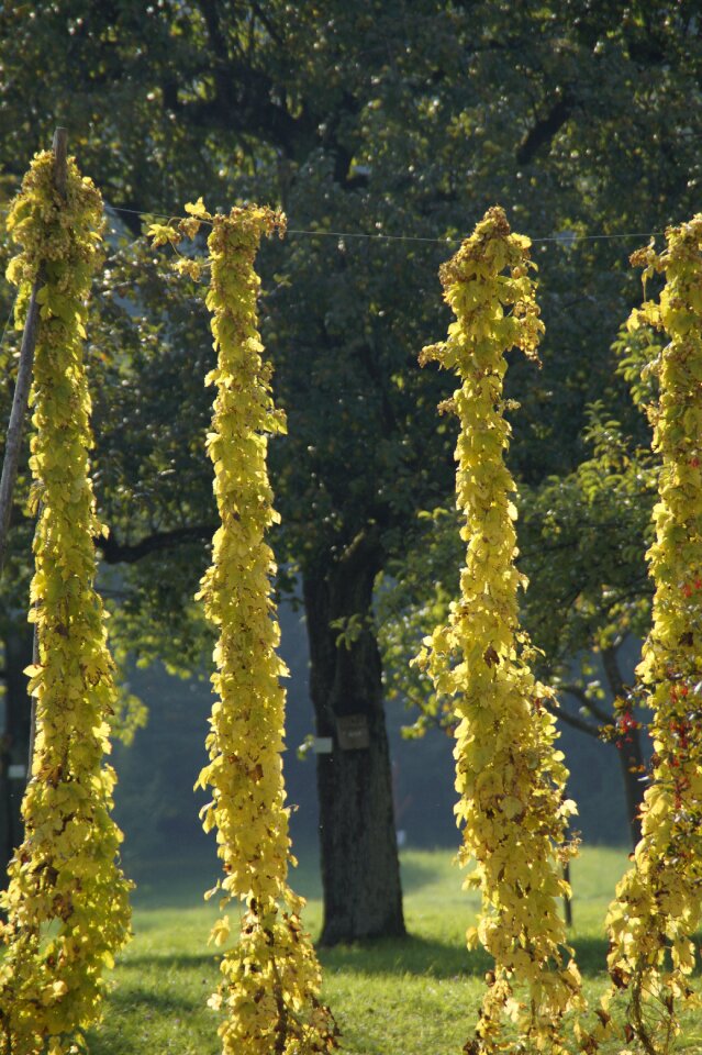 Autumn october autumn mood