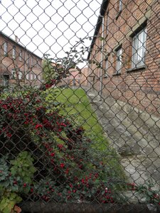 Concentration camp barak poland photo