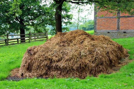 Farm crap dung