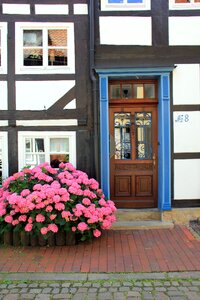 Door flowers idyll photo