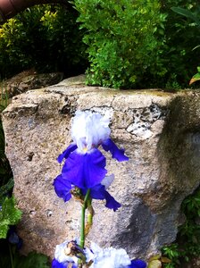 White nature stone