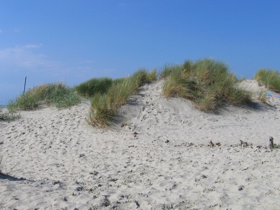 Dune ridge footprints borkum