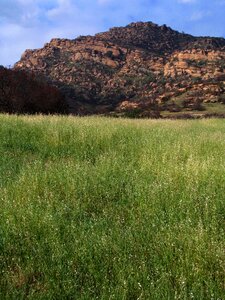 Park grass rocks