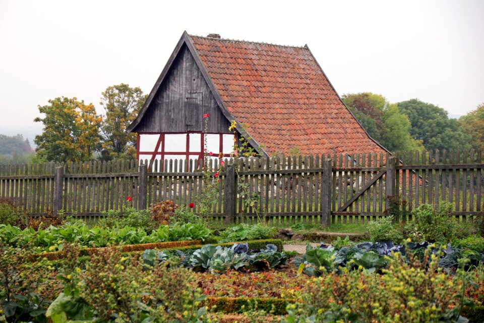House garden fence