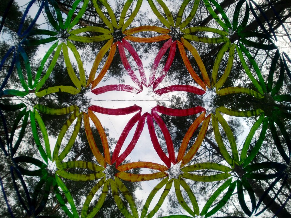Art psychedelic nature