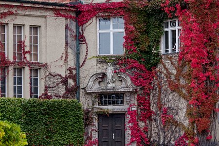 1900 red wine partner
